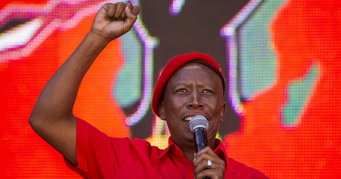 Hashtag Malema trends after clip of Juju partying maskless goes viral