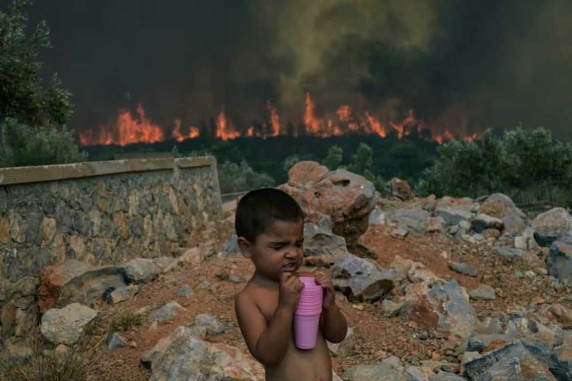 This year, which has been plagued by extreme-weather events made worse by climate change, will be the hottest in recorded history, Europe's climate monitor says This year, which has been plagued by extreme-weather events made worse by climate change, will be the hottest in recorded history, Europe's climate monitor says