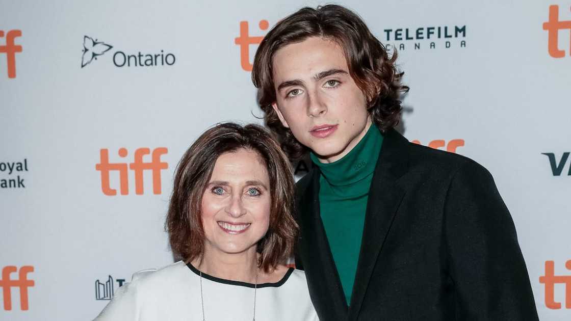 Is Timothée Chalamet gay? Everything about the American actor - Briefly ...