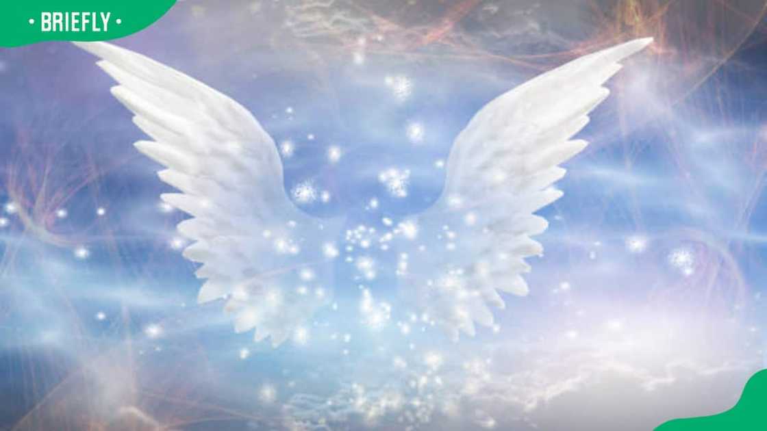 Angel's wings. Angel's wings.
