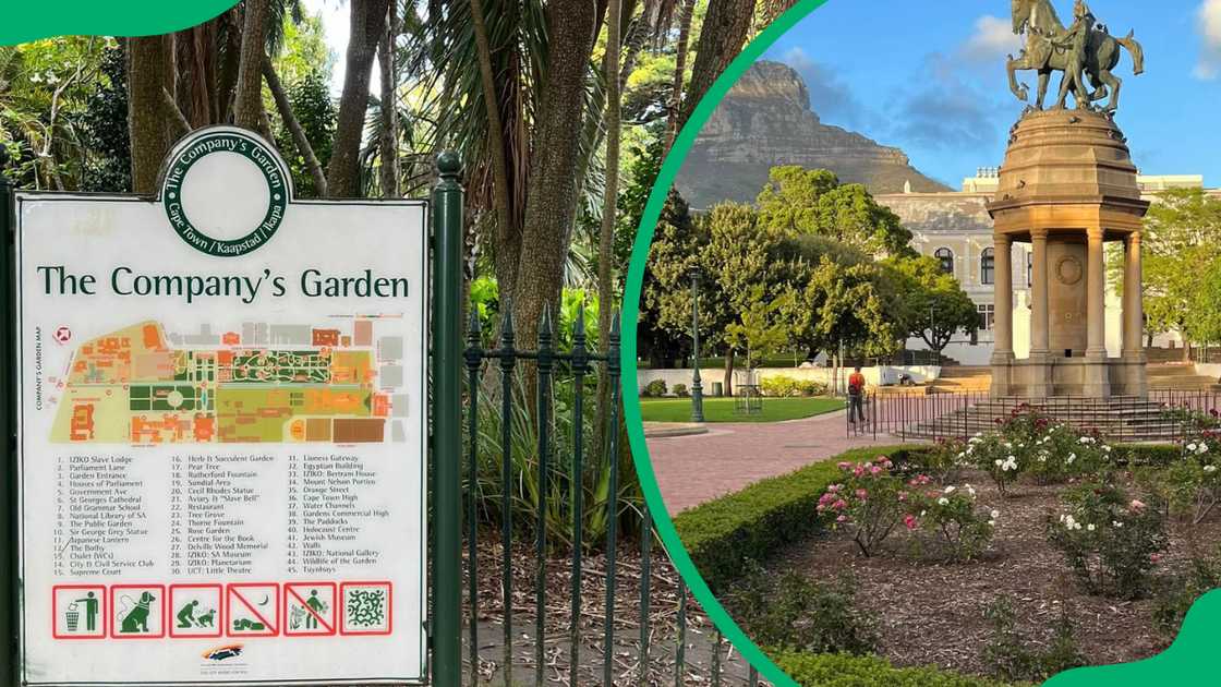 The Company Gardens offers the best picnic spots in Cape Town for families and friends
