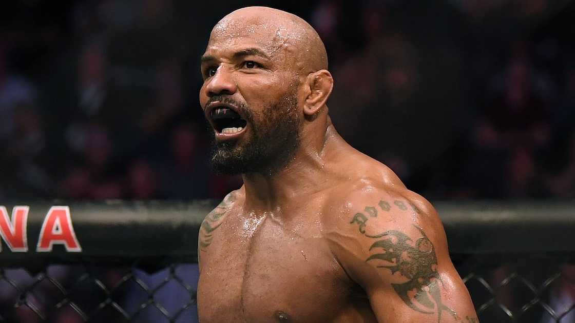 UFC fighters with black belts UFC fighters with black belts