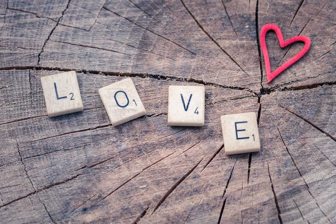 what are the best dating apps for mature gay men? what are the best dating apps for mature gay men?