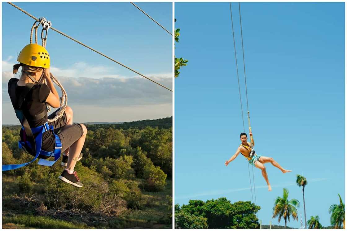 What is the longest zipline in the Cape? What is the longest zipline in the Cape?