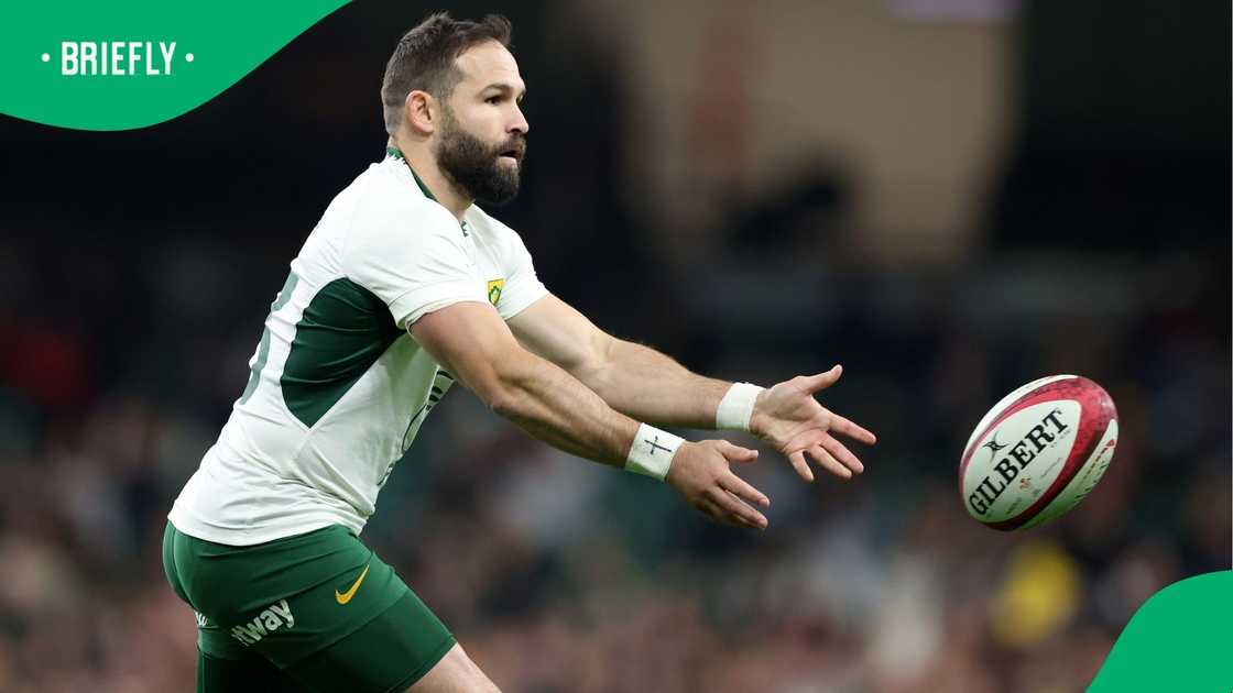 Springboks, South Africa, Cobus Reinach, Quilter Nations Series 2025 Springboks, South Africa, Cobus Reinach, Quilter Nations Series 2025