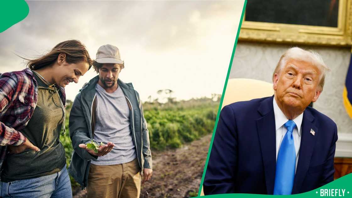 The South African Chamber of Commerce in the US said it received 10,000 enquiries from those who want to move to the US The South African Chamber of Commerce in the US said it received 10,000 enquiries from those who want to move to the US