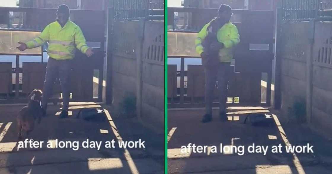 A man was greeted with a hug by his pit bull