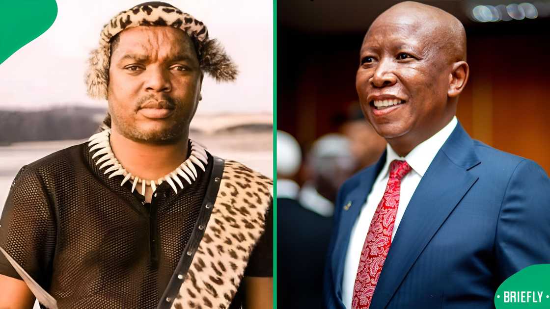 Ngizwe Mchunu retracted his statements Ngizwe Mchunu retracted his statements