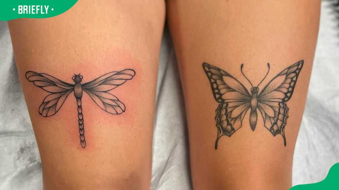 Dragonfly-butterfly tattoo Dragonfly-butterfly tattoo