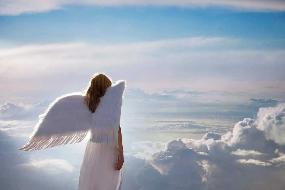 A woman with angel wings A woman with angel wings