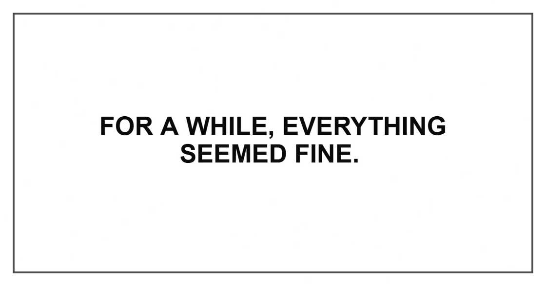 For a while, everything seemed fine.
