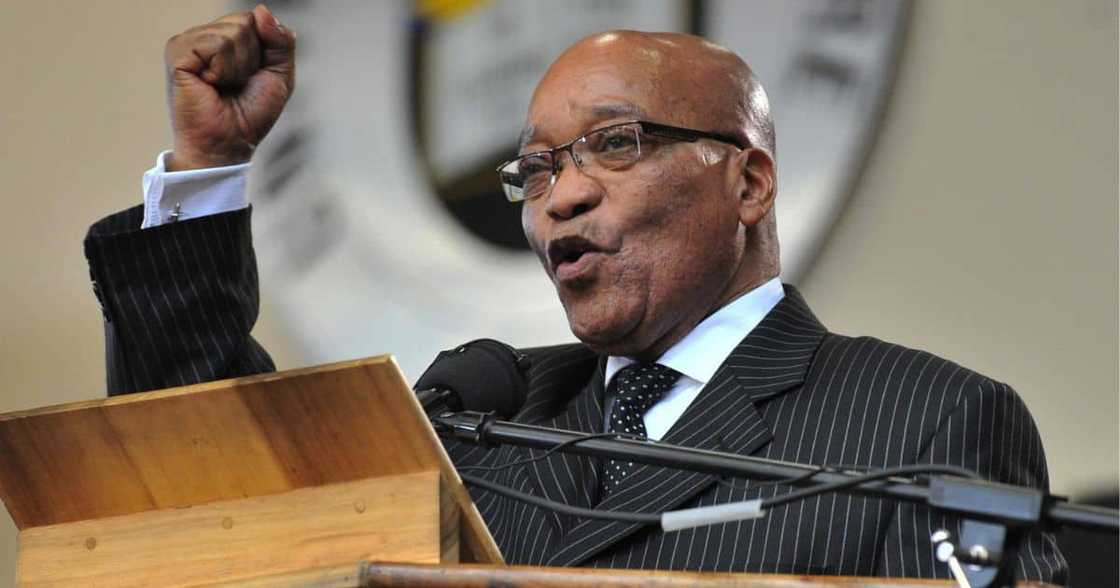 Jacob Zuma says SEOs should not be privatised