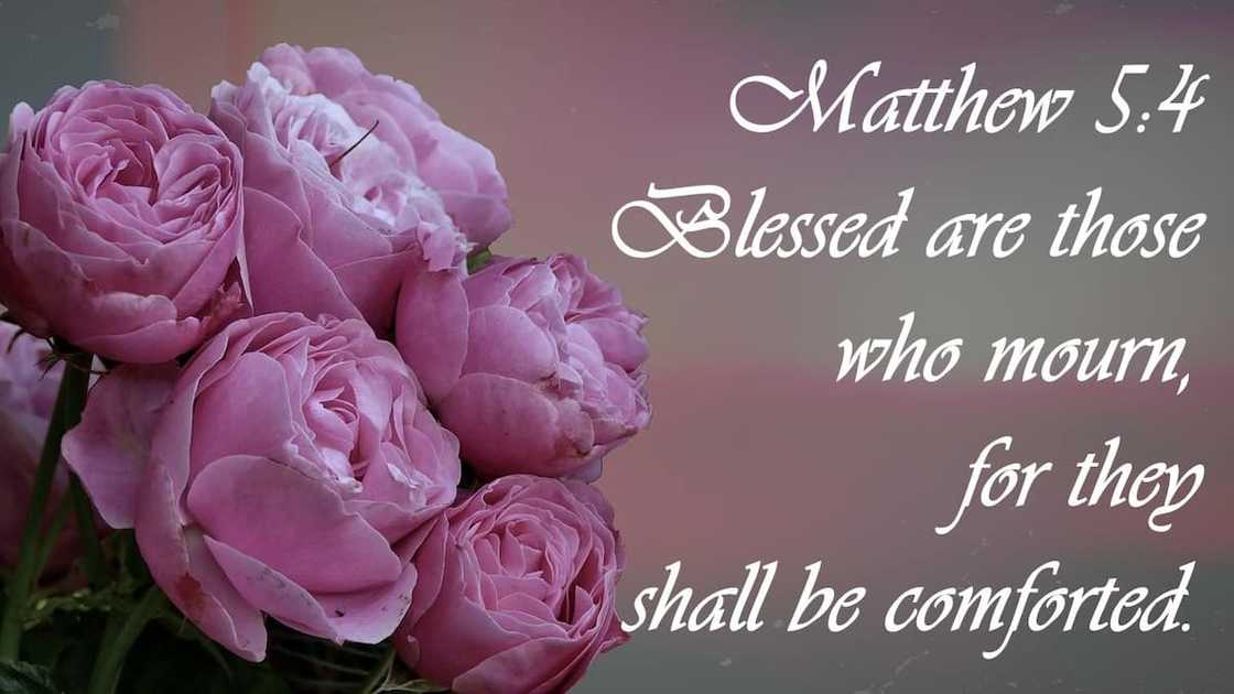 bible condolence text message bible condolence text message
