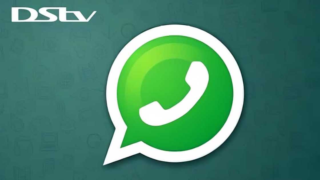 DStv's WhatsApp number