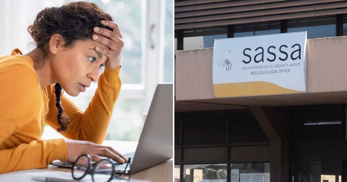 sassa scam