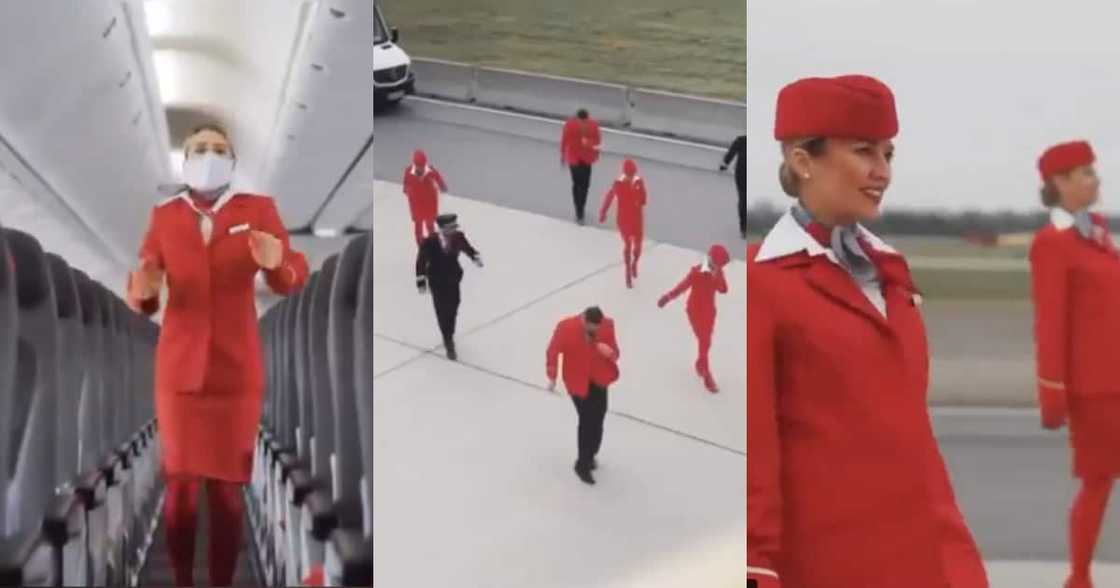 Austrian Airlines Crew Go Viral with Lit #Jerusalemachallenge Clip