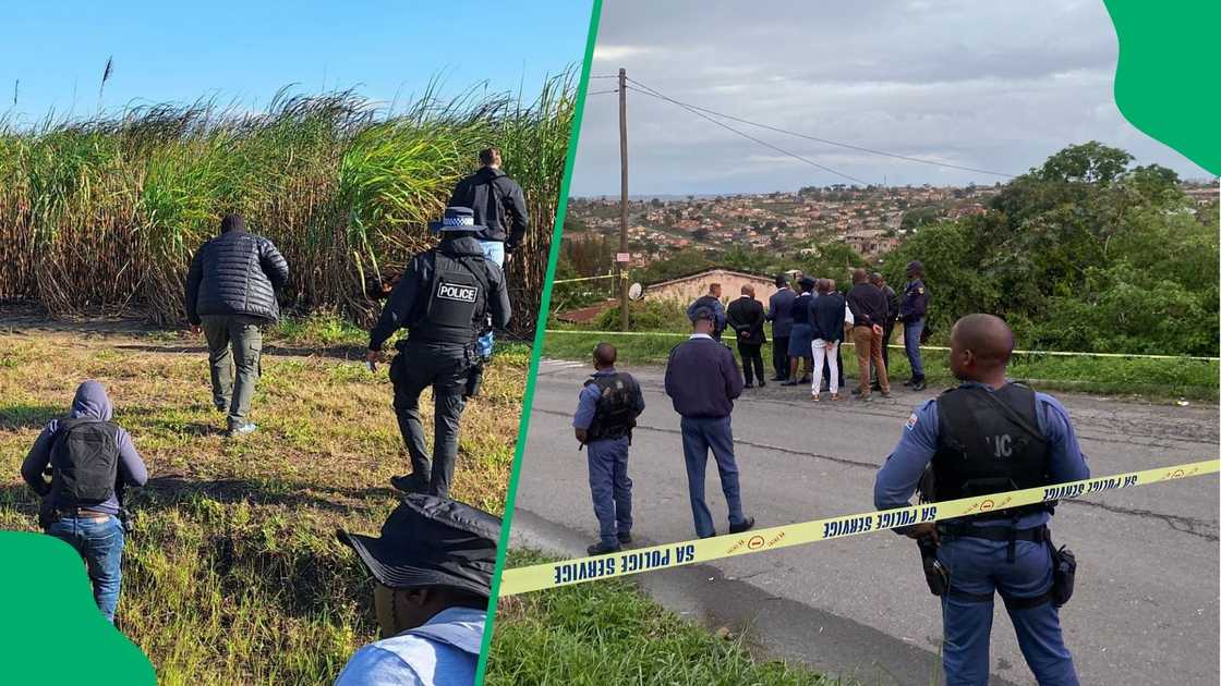 KwaZulu Natal police nab 11,000 suspect and recover 300 guns as Mzansi applaud efforts KwaZulu Natal police nab 11,000 suspect and recover 300 guns as Mzansi applaud efforts