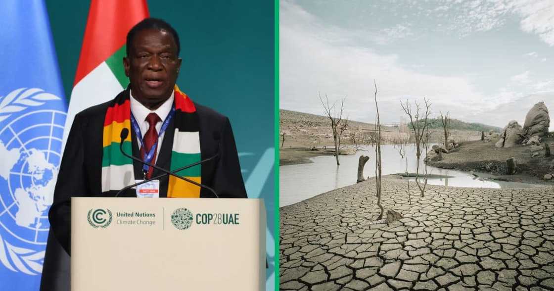 Emmerson Mnagagwa declared the Zimbabwean drought to be disaster Emmerson Mnagagwa declared the Zimbabwean drought to be disaster