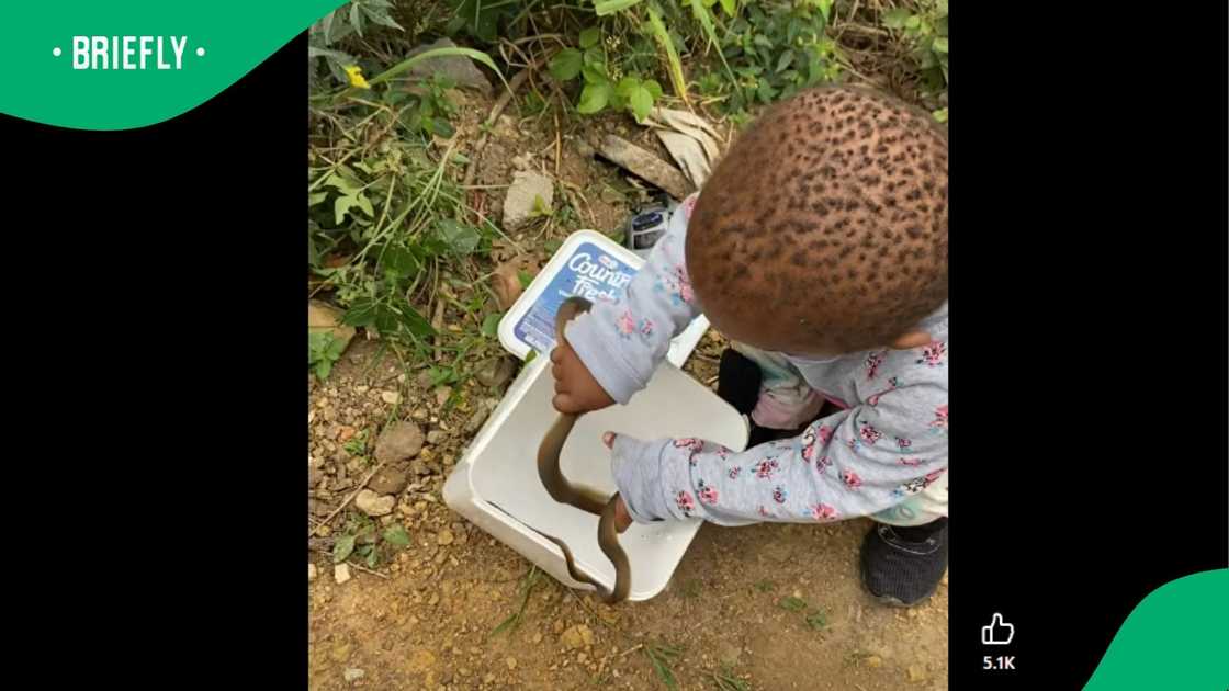 A video went viral on Facebook.