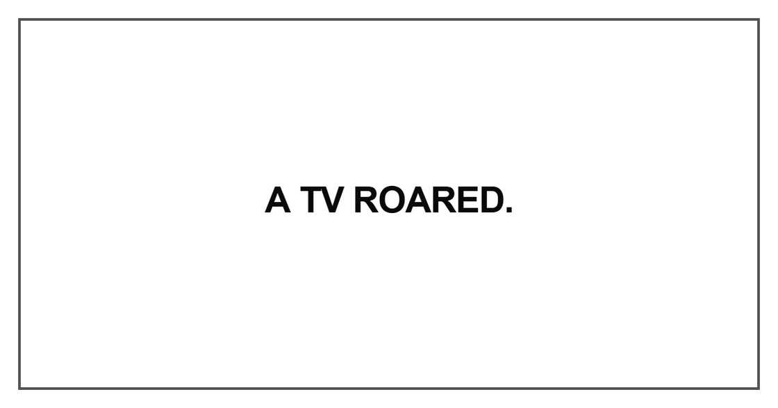 A TV roared