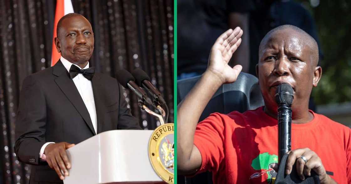 Kenyan President William Ruto and EFF CIC Julius Malema Kenyan President William Ruto and EFF CIC Julius Malema