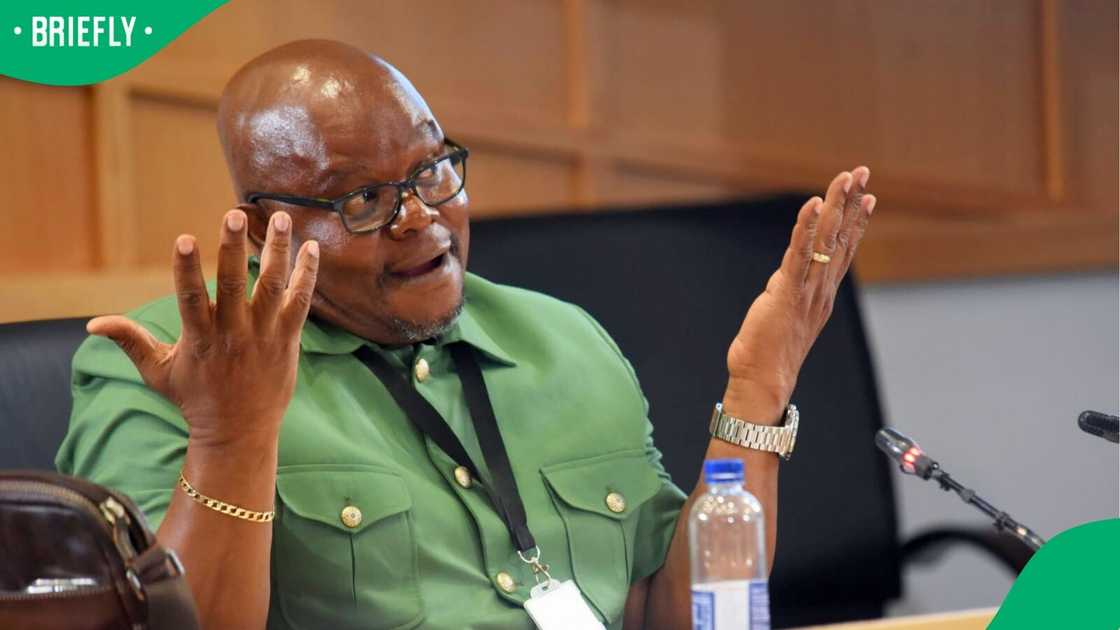 Major General Lesetja Senona confirmed that he sent police documents to Vusimuzi Cat Matlala