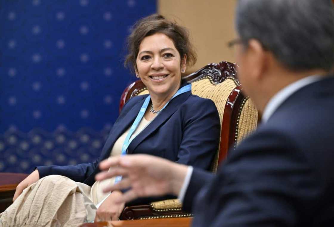 Elizabeth Salmon (L) was recently appointed as the UN special rapporteur on human rights in North Korea Elizabeth Salmon (L) was recently appointed as the UN special rapporteur on human rights in North Korea