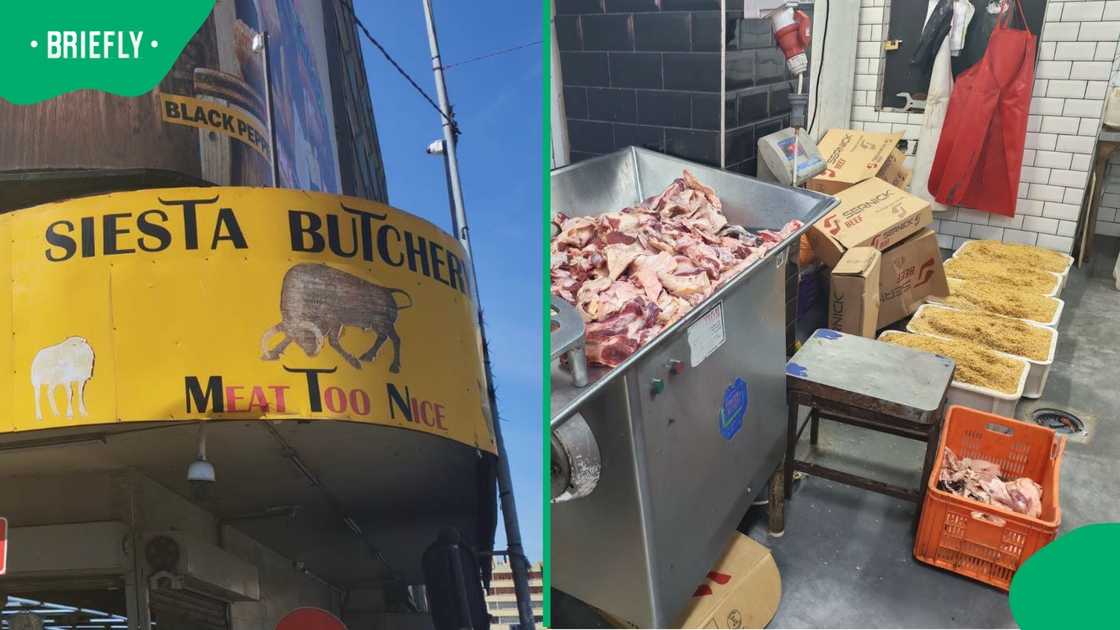 Cats were found eating meat at the Siesta MTN Butchery Cats were found eating meat at the Siesta MTN Butchery
