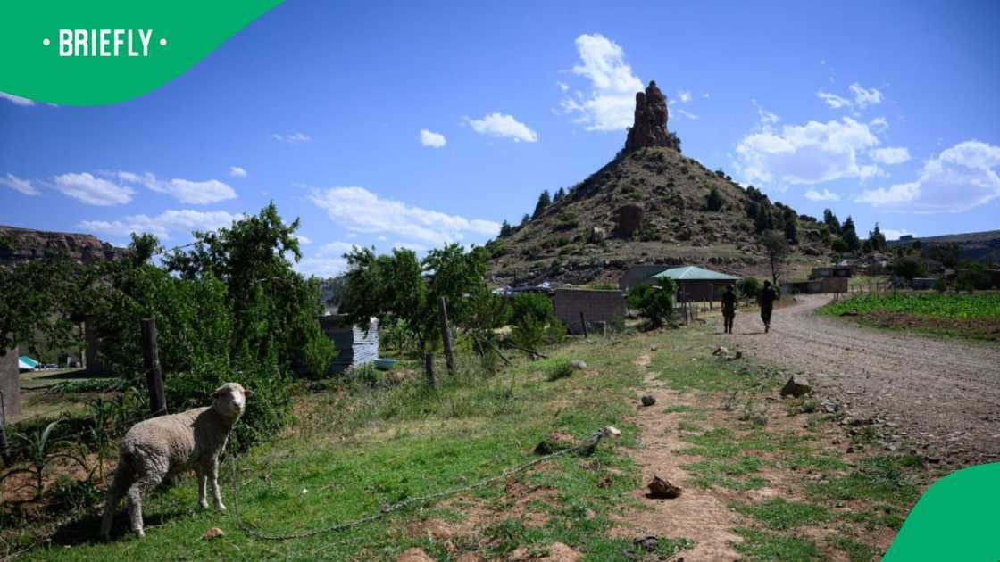 A political party in Lesotho filed a petition to reclaim the Free State A political party in Lesotho filed a petition to reclaim the Free State