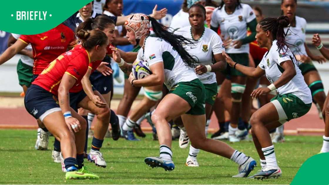 Springbok Women Springbok Women