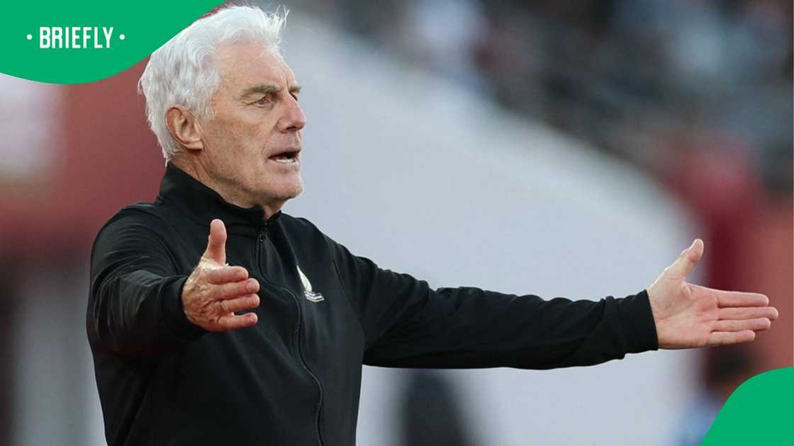 Hugo Broos explains why he wont help Bafana Bafana successor Hugo Broos explains why he wont help Bafana Bafana successor