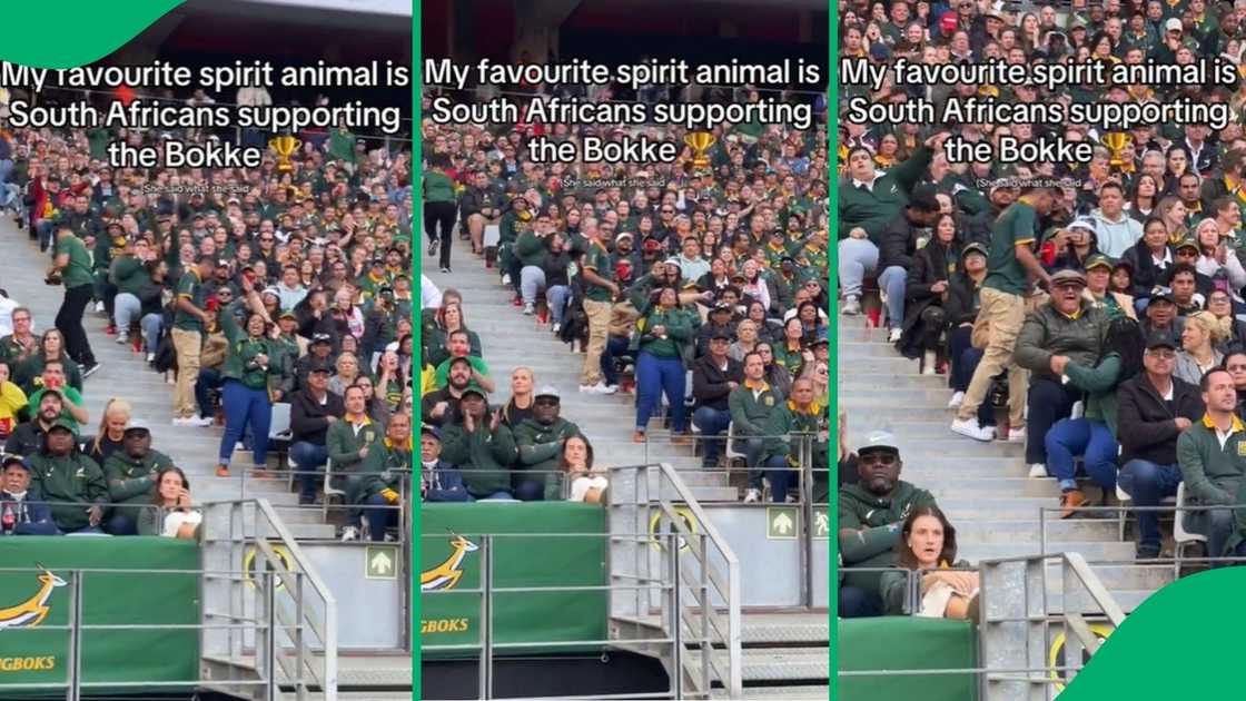 Woman’s epic celebration of Springboks victory