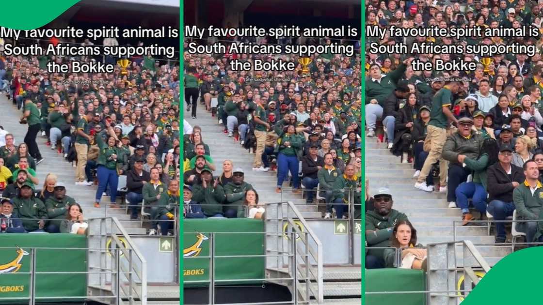 Woman’s epic celebration of Springboks victory Woman’s epic celebration of Springboks victory