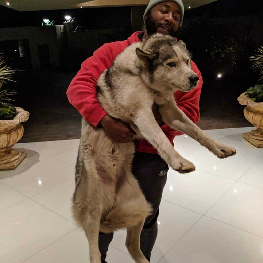 Tumelo Ramaphosa pictures Tumelo Ramaphosa pictures