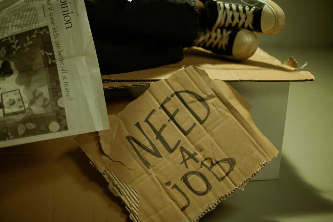 South Africans discussed the effects on unemployment South Africans discussed the effects on unemployment