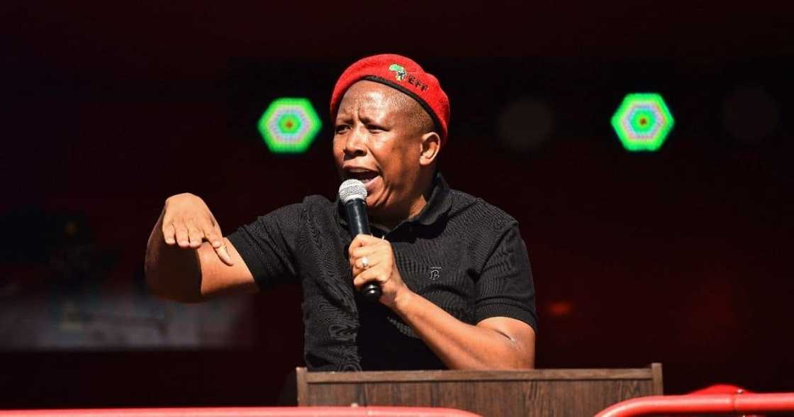 EFF leader Julius Malema EFF leader Julius Malema