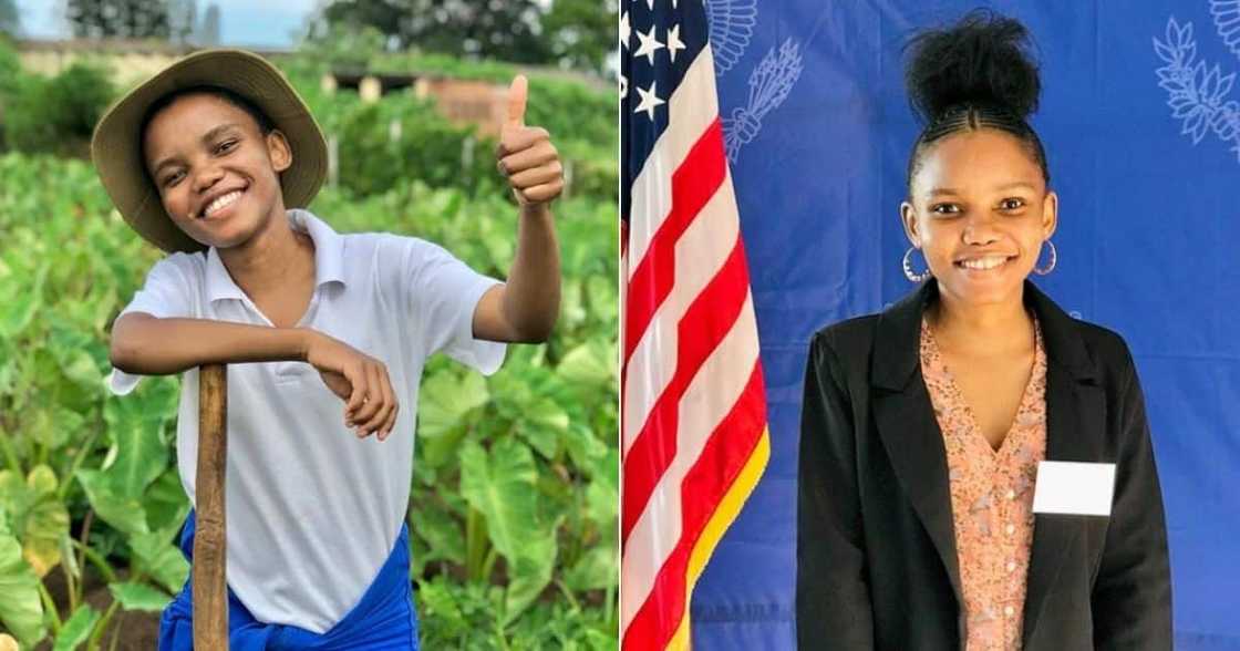 farmer, female, future, woman, flag, stars, brinjal, director, vegetables, fruit farmer, female, future, woman, flag, stars, brinjal, director, vegetables, fruit