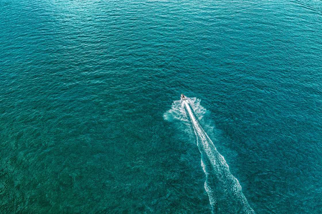 A man planned an aquatic proposal A man planned an aquatic proposal