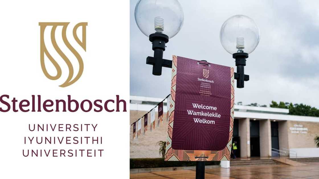 Top accounting schools in Mzansi Top accounting schools in Mzansi