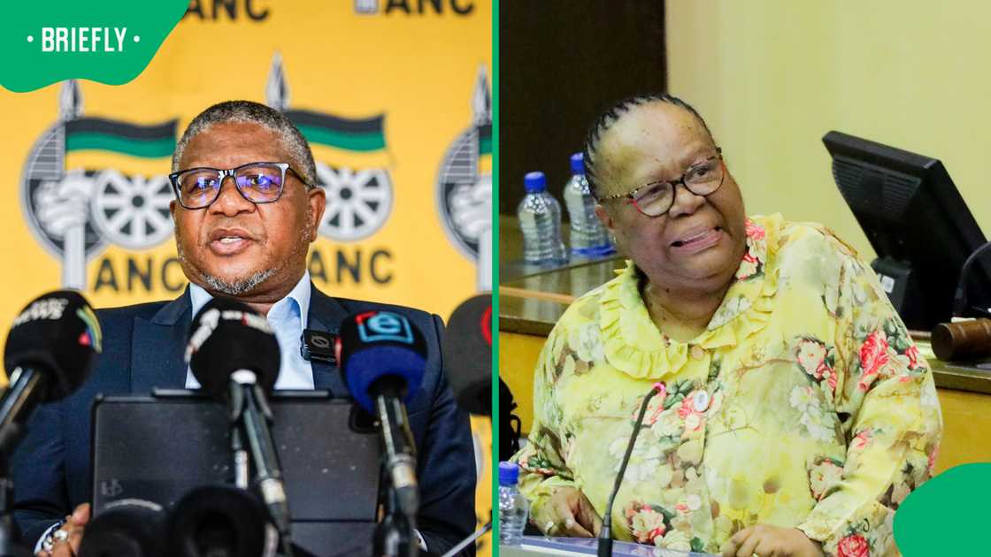Fikile Mbalula agreed with statements ANC stalwart Naledi Pandor said about the leadership Fikile Mbalula agreed with statements ANC stalwart Naledi Pandor said about the leadership