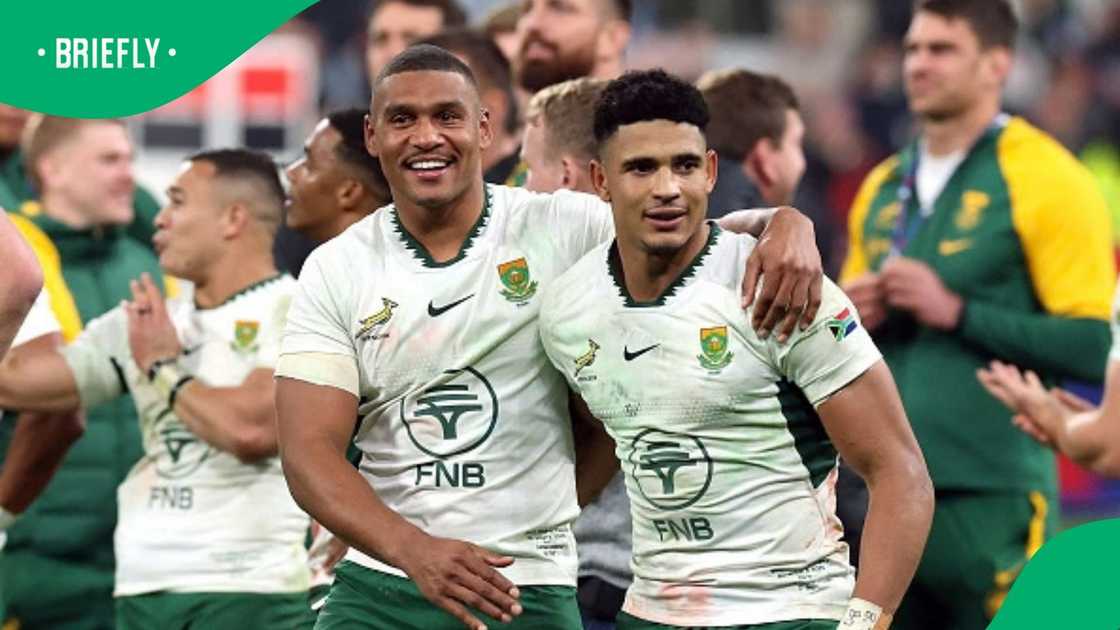 Sacha Feinberg-Mngomezulu, Springboks, Damian Willemse