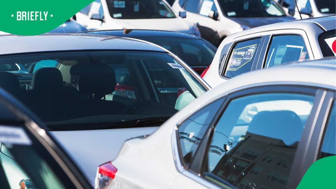 SA TikToker reacts as Chinese car brands reach nearly 40% of market SA TikToker reacts as Chinese car brands reach nearly 40% of market