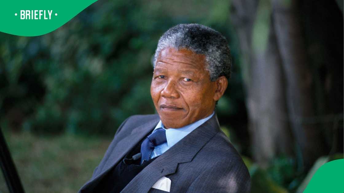Nelson Mandela's famous friends