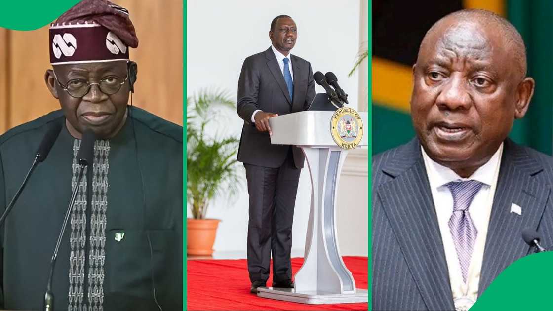 Social media users are debating which witty head of state moniker reigns supreme across the continent Social media users are debating which witty head of state moniker reigns supreme across the continent