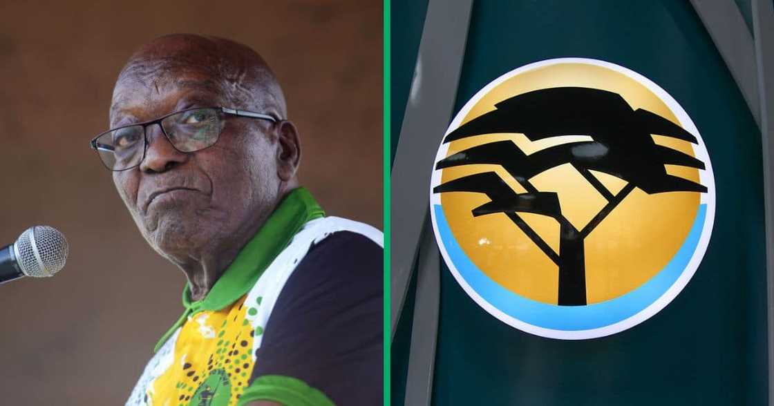 Jacob Zuma's FNB account was frozen because he defaulted on his VBS Mutual Bank loan Jacob Zuma's FNB account was frozen because he defaulted on his VBS Mutual Bank loan