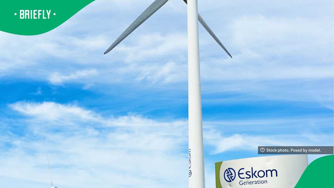 The facility's three turbines (only two are shown in this picture) have a combined output of 3.2 megawatts.