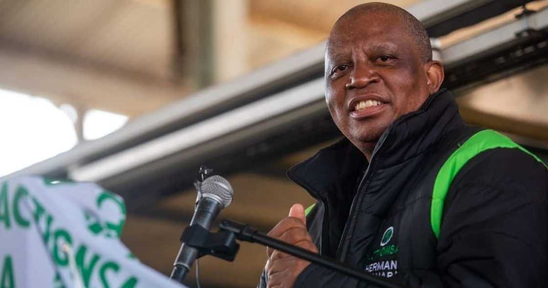 Elections, Herman Mashaba, draft ballot, ActionSA