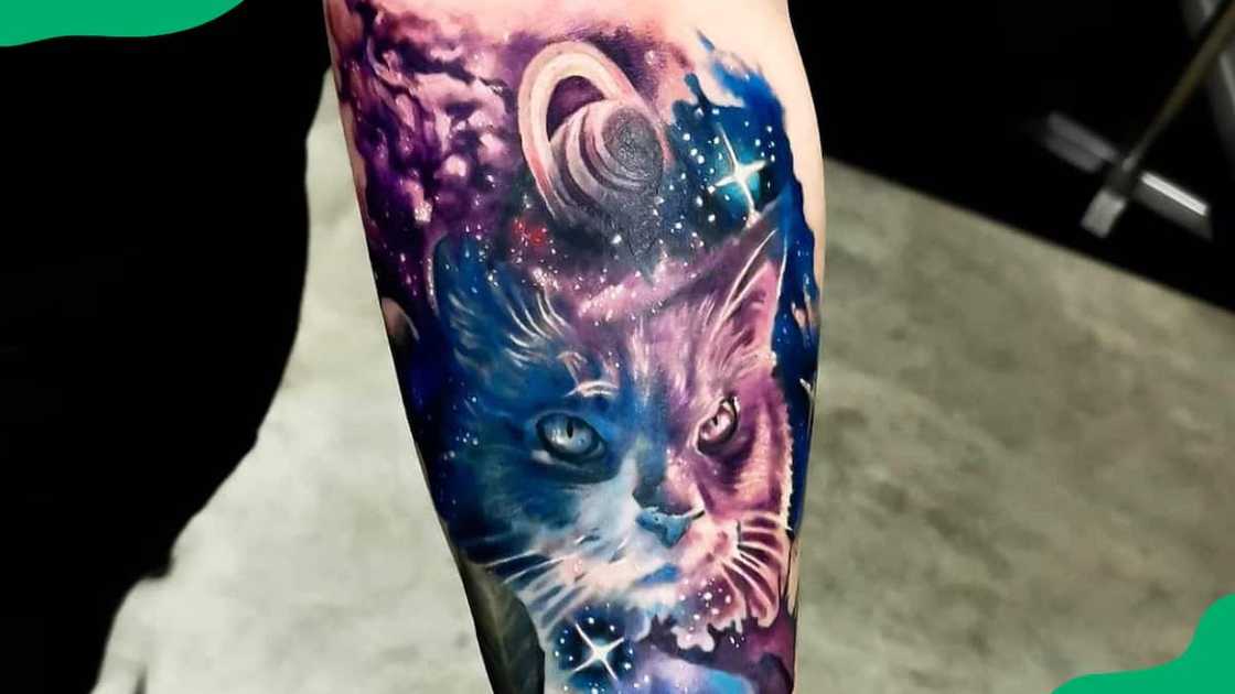 Galactic space cat