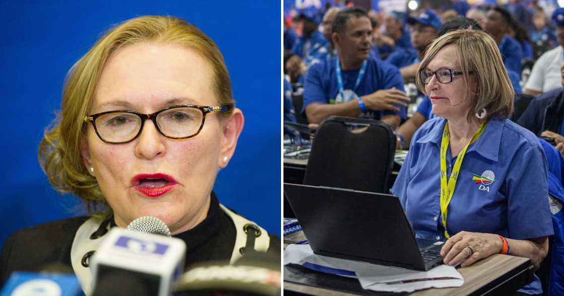 Democratic Alliance federal council chairperson Helen Zille says she's not in charge Democratic Alliance federal council chairperson Helen Zille says she's not in charge
