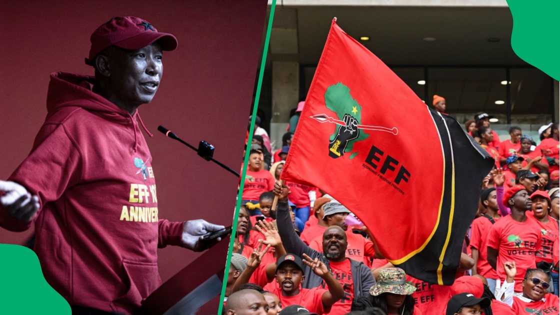 Julius Malema thanked EFF members and supporters